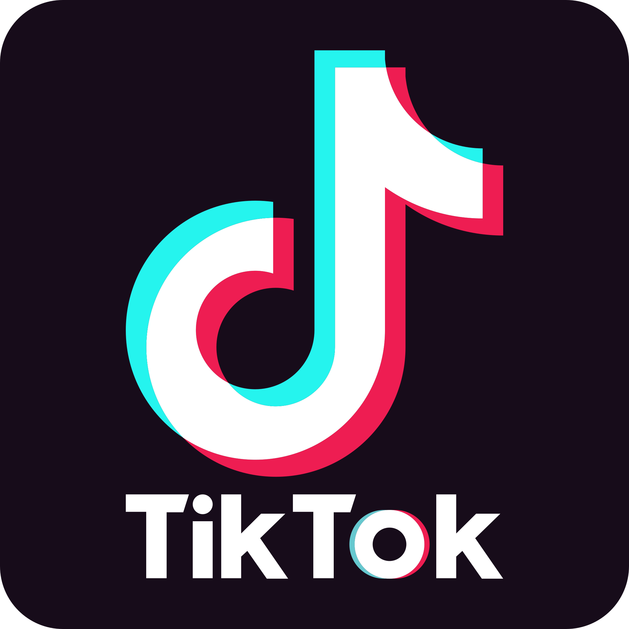 TikTok de Franck Nouzies
